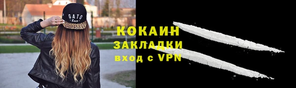 дмт Осинники