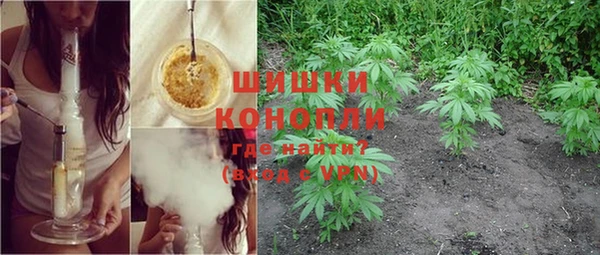 амф Осташков