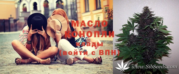 дмт Осинники