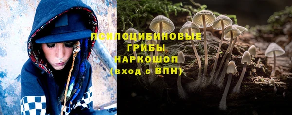 дмт Осинники