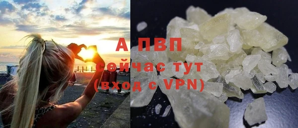 амф Осташков