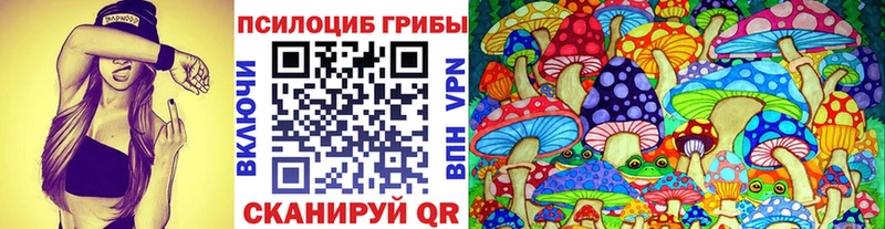 Купить закладки  Заринск  Псилоцибиновые грибы Cubensis 